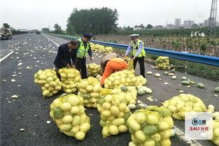 许昌市今日瓜价格,今日瓜价行情一览”