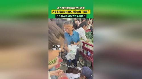 许昌市今日瓜价格,今日瓜价行情一览”