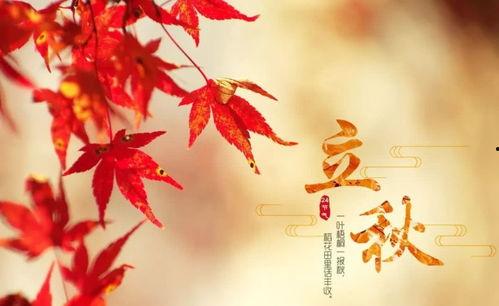 今日立秋哈密瓜,哈密瓜飘香，尽享甜蜜时光