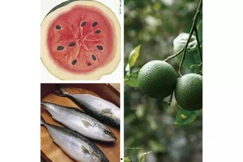 今日立秋哈密瓜,哈密瓜飘香，尽享甜蜜时光