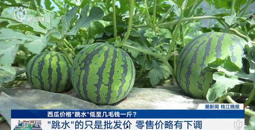 开封今日瓜价格最新行情,新鲜行情一览