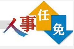 河源瓜仔今日新闻,瓜仔产业蓬勃发展，助力乡村振兴