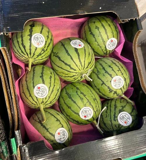 麒麟瓜西瓜价格今日行情,价格波动解析与市场趋势洞察”