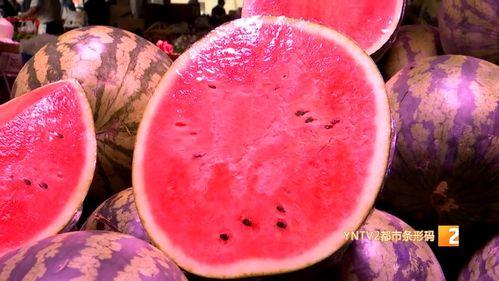 麒麟瓜西瓜价格今日行情,价格波动解析与市场趋势洞察”