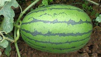 一手爆料吃瓜唐十八,一手爆料带你走进娱乐圈的神秘世界