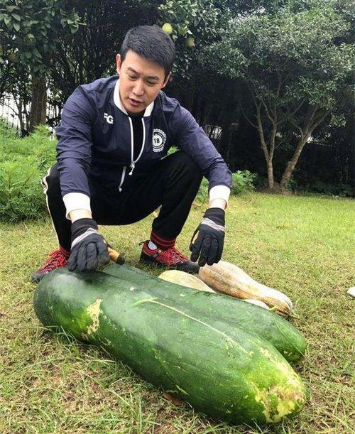 一手爆料吃瓜唐十八,一手爆料带你走进娱乐圈的神秘世界