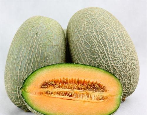 吃哈密瓜最热门的文案,舌尖上的甜蜜诱惑