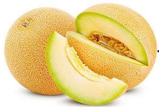 吃哈密瓜最热门的文案,舌尖上的甜蜜诱惑