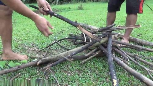 乌漆嘛黑的吃瓜,揭秘娱乐圈幕后真相