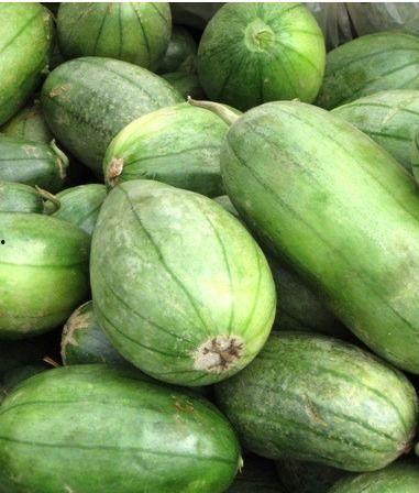 芋瓜价格今日最新价格