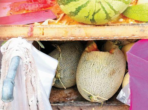 吃哈密瓜拉黑屎,揭秘吃哈密瓜拉黑屎的奥秘