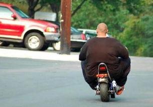 赵丽颖运摩托吃瓜爆料,运摩托吃瓜，娱乐圈幕后趣闻大揭秘