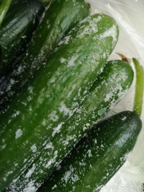 今日大瓜热心的朝阳,揭秘娱乐圈最新热点