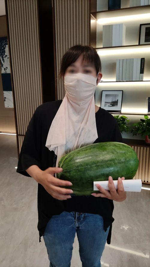 今日大瓜热心的朝阳,揭秘娱乐圈最新热点