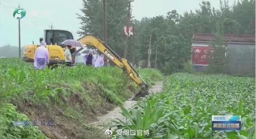 周口付沟今日瓜价,瓜价波动，新鲜资讯速览”