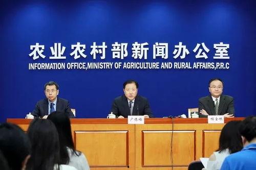 瓜安庄今日新闻,揭秘瓜安庄发展新动态，共话乡村振兴新篇章