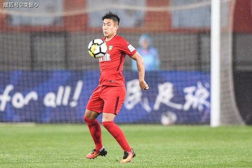 热门大瓜花店老板娘小说,揭秘都市爱情背后的秘密