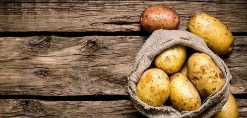 黑绿色的吊瓜怎么吃,黑绿吊瓜的多样食法探索