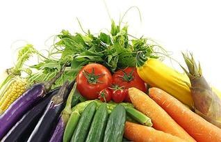 大连蔬菜角瓜今日行情,价格波动，市场供需分析”