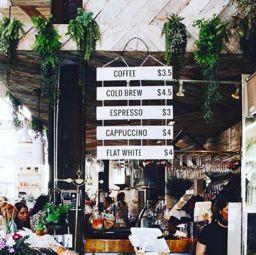 福州明星网红美食店,探寻明星网红店背后的美味传奇