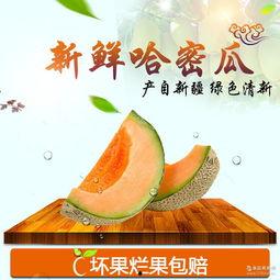 新疆哈密瓜今日价格,品质佳果，行情看涨！”