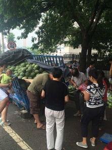 丰城市近期热门吃瓜事件