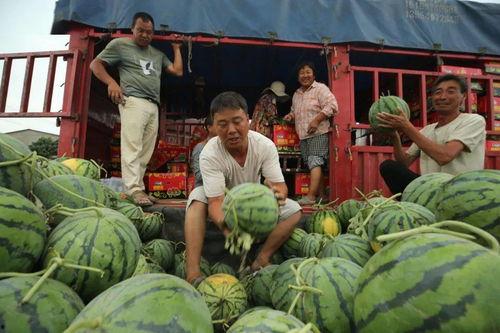 丰城市近期热门吃瓜事件