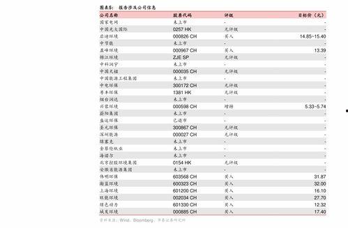 松瓜今日价格表,今日市场行情一览
