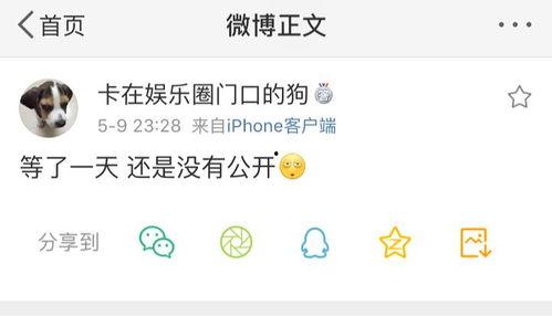 51cg123吃瓜爆料图片,吃瓜群众热议的神秘图片大揭秘