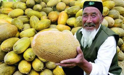 云南哈密瓜今日价格,价格行情一览