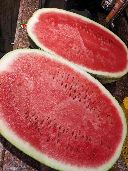 今日茧瓜价格最新行情,最新行情解析与趋势展望