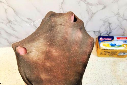 吃瓜黑蜘蛛,神秘生物的生态之谜