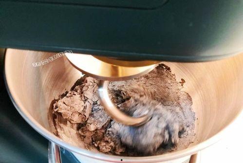 吃瓜黑蜘蛛,神秘生物的生态之谜