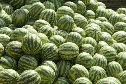 泉州热门吃瓜事件真相揭秘,揭秘背后的真相与真相背后的真相