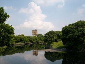 瓜岭村今日新闻,乡村振兴新篇章，村民生活焕新颜