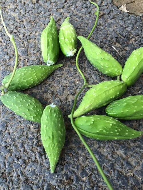 旱瓜今日价格行情,今日行情一览