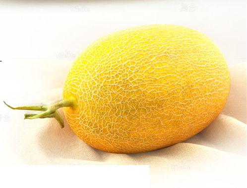 北海哈密瓜今日行情,品质优良，价格稳定，备受市场青睐”