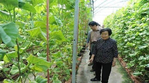 光遇爆料吃瓜是真的吗,吃瓜群众热议，真相究竟如何？