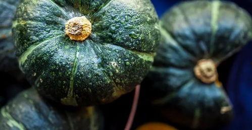 缅甸吃瓜黑料是真的吗,真相揭秘与事实核查