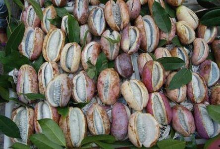 八月瓜热门歌曲有哪些,旋律动人，歌声传情