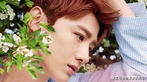 吃瓜爆料白敬亭私下物品,吃瓜群众眼中的明星日常