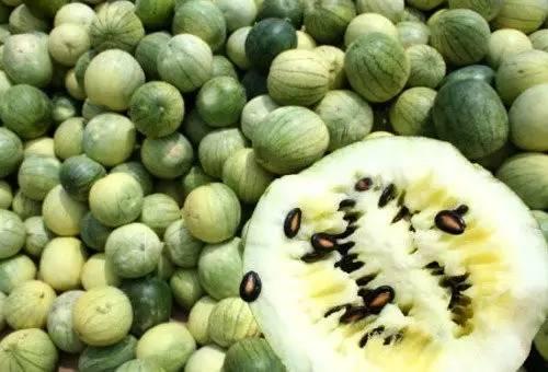 黑籽瓜怎么吃,解锁美味新体验