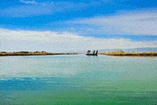 真千金爆料吃瓜现场,揭秘吃瓜现场背后的惊人真相