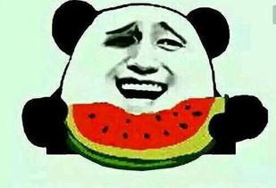 2024七夕吃瓜热门事件,吃瓜群众热议的甜蜜瓜界风云