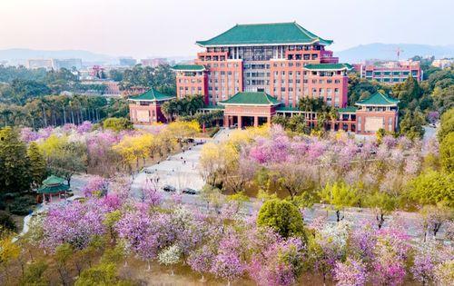 华南农业大学热门大瓜,揭秘校园风云事件背后的真相