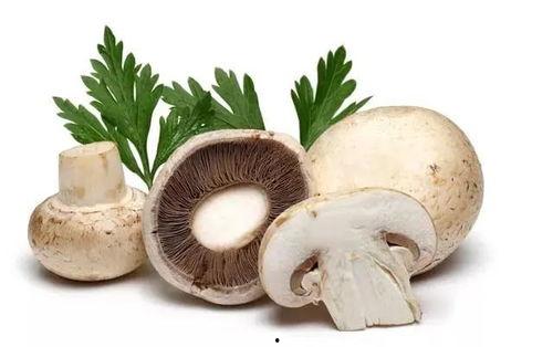 黑料吃瓜蘑菇视频,蘑菇视频带你探秘娱乐圈幕后真相