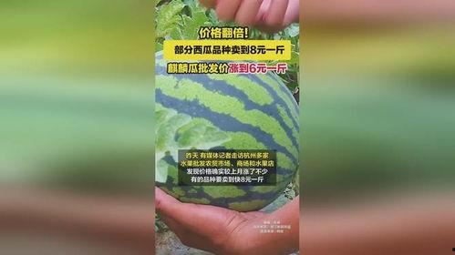 广州麒麟瓜批发今日行情,价格波动，供需两旺”