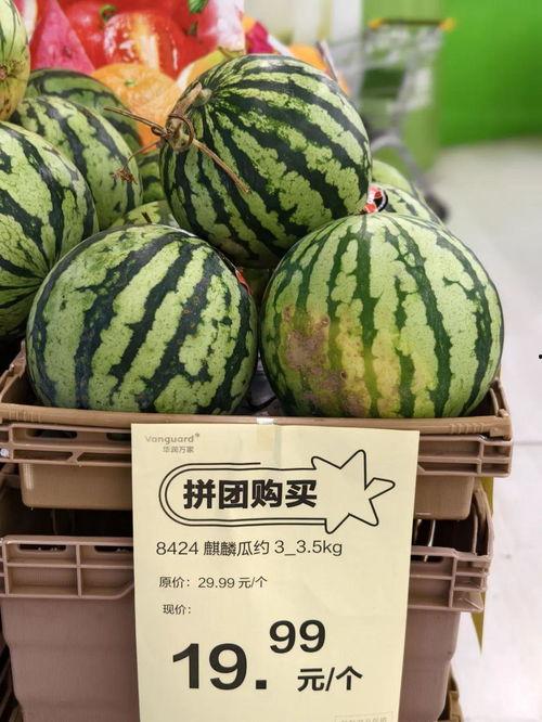 广州麒麟瓜批发今日行情,价格波动，供需两旺”