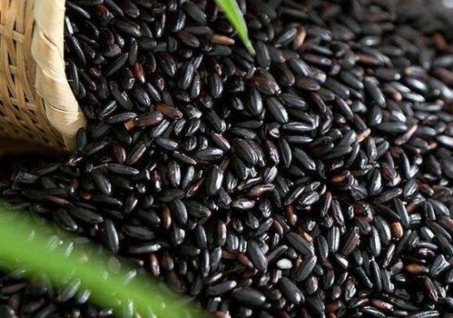 黑米和角瓜可以同时吃吗,健康搭配，美味共享