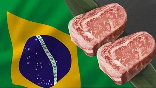 巴西牛肉瓜条今日价,探寻南美风味的新宠